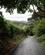 404 Landevejen Mod Old Bridge Wicklow Way Irland Anne Vibeke Rejser IMG 1032