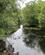 406 Avonmore River Ved Old Bridge Wicklow Way Irland Anne Vibeke Rejser IMG 1033