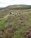 428 Udsigtspunkt Ved Lough Tay Laugh Wicklow Way Irland Anne Vibeke Rejser IMG 1051