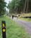 202 Paa Wicklow Way Irland Anne Vibeke Rejser IMG 0918