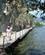 462 Gangbro Langs Ohridsoeen Ohrid Nordmakedonien Anne Vibeke Rejser IMG 9037