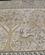 512 Mosaikdel Med Hjort Heraklea Nordmakedonien Anne Vibeke Rejser IMG 9114
