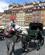 172 Hestedrosche Warszawa Polen Anne Vibeke Rejser IMG 3790