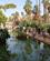 673 Bassiner Jardin De La Majorelle Marrakech Marokko Anne Vibeke Rejser IMG 9433