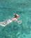 109 Snorkling I Det Krystalklare Hav Güzelcamli Tyrkiet Anne Vibeke Rejser IMG 3986