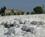 900 Kalkterrasserne Ved Pamukkale Tyrkiet Anne Vibeke Rejser DSC08646