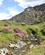 301 Vandretur I Moelwyn Mountains Wales Anne Vibeke Rejser PICT0033