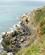 702 Klipper Til Kystklatring Ved Aber Mawe Pembrokeshire Coast Wales Anne Vibeke Rejser PICT0173