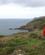 710 Langs Kyststrækningen Ved Abercastle Pembrokeshire Coast Wales Anne Vibeke Rejser PICT0196