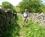 1000 Vandreferie Ved Black Mountain Chrickhowel Wales Anne Vibeke Rejser PICT0246