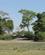 112 Lejrplads Under Skyggefulde Traeer Chobe N. P. Botswana Anne Vibeke Rejser IMG 6323