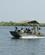 210 Cruise Paa Chobe Floden Chobe Floden Chobe N. P. Botswana Anne Vibeke Rejser DSC07084