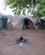 302 Morgen I Teltlejren Chobe N. P. Botswana Anne Vibeke Rejser IMG 6370