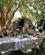 412 Frokost I Teltlejren Savuti March Botswana Anne Vibeke Rejser IMG 6408