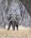 717 Elefant Moremi Botswana Anne Vibeke Rejser DSC07565