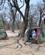 630 Teltlejr Uden Skygge Fra Traekronerne Moremi Botswana Anne Vibeke Rejser IMG 6476