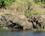 2199 Elefanter Ved Chobe River Botswana Anne Vibeke Rejser DSC02042