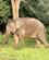 Thailand Hua Hin Kui Buri Nationalpark Anne Vibeke Rejser 2023 3