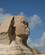 124 Sfinksens Ansigt Giza Cairo Egypten Anne Vibeke Rejser IMG 9559