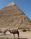 140 Khefrens Pyramide Giza Cairo Egypten Anne Vibeke Rejser IMG 9528