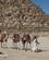 144 Der Tilbydes Rideture Paa Dromedar Giza Cairo Egypten Anne Vibeke Rejser IMG 9533