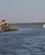 1007 Krydstogtsskibene Sejler I En Lind Stroem Efter Hinanden Nilen Egypten Anne Vibeke Rejser DSC00721