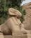 1804 Sfinks Med Vaedderhoved Karnak Luxor Egypten Anne Vibeke Rejser IMG 0164