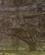 1509 Stridsvogn I Bevaegelse Ses Paa Hestens Mange Ben Abu Simbel Egypten Anne Vibeke Rejser IMG 0067