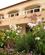 102 Blomster Ved Hotel Morabeza Santa Maria Sal Kap Verde Anne Vibeke Rejser PICT0138