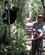 360 Junglevandring I Palmarium Reserve Madagaskar Anne Vibeke Rejserimg 1229