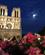 Frankrig Paris Notre Dame 2018 Foto Anne Vibeke Rejser