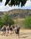 1020 Vandreturen Starter I Isalo National Park Madagaskar Anne Vibeke Rejser IMG 1754