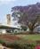 102 Jacarandatrae Ved Lufthavnen I Lilongwe Malawi Anne Vibeke Rejser IMG 9580