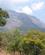202 Mulanje Bjergene Malawi Anne Vibeke Rejser IMG 9259