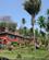 412 Raekkehuse Zomba Malawi Anne Vibeke Rejser IMG 9305