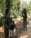 434 Der Skal Holdes Pauser Undervejs Zomba Malawi Anne Vibeke Rejser IMG 9322