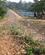 452 Daemning Ved Mulunguzi Dam Zomba Malawi Anne Vibeke Rejser IMG 9354