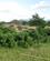 604 Flere Smaa Landsbyer Passeres Mozambique Anne Vibeke Rejser IMG 6752