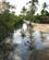 631 Vandet Stiger Og Goer Sandvejen Ufremkommelig Ved Hoejvande Inhambane Mozambique Anne Vibeke Rejser IMG 6866