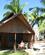 640 Hytte Omgivet Af Palmer Mozambique Anne Vibeke Rejser IMG 6944
