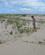 646 Strandvaekster I Sandet Mozambique Anne Vibeke Rejser IMG 6886