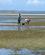 660 Kvinder Samler Muslinger Ved Ebbe Mozambique Anne Vibeke Rejser IMG 6915
