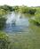 671 Tidevandet Kommer Hastigt Ind I Mangroven Mozambique Anne Vibeke Rejser IMG 6952