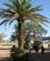 1130 Sesreim Campsite I Namib Naukluft Park Namibia Anne Vibeke Rejser IMG 6113