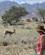 1134 Taet Paa Dyrene Sesreim Campsite Namib Naukluft Park Namibia Anne Vibeke Rejser IMG 6192