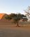 1210 Ved Sandklit Dune 45 Sossusvlei Namibia Anne Vibeke Rejser IMG 6151