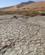 1228 Udtoerret Vaadomraade Sossusvlei Namibia Anne Vibeke Rejser IMG 6169