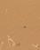 1244 Blaa Sandbiller Ses Overalt Dead Vlei Sossusvlei Namibia Anne Vibeke Rejser DSC01275