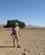 1247 Din Rejseskribent Er En Noget Slidt Klitbestiger Neden For Dead Vlei Sossusvlei Namibia Anne Vibeke Rejser IMG 6185