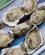 1440 Frokost Med Oesters Fra Bugten Walvis Bay Namibia Anne Vibeke Rejser DSC01460
